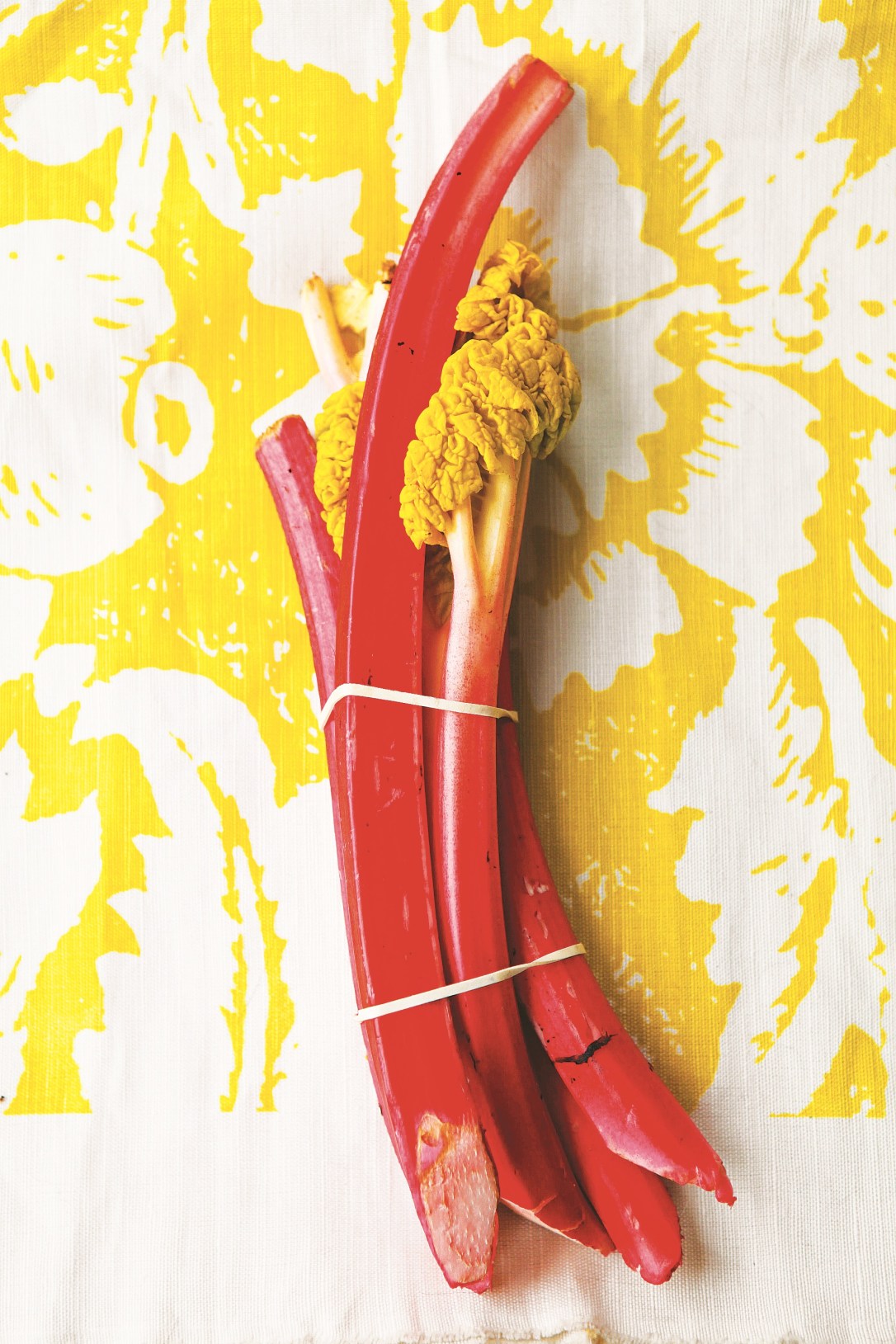 IMG_7191 high res.jpeg