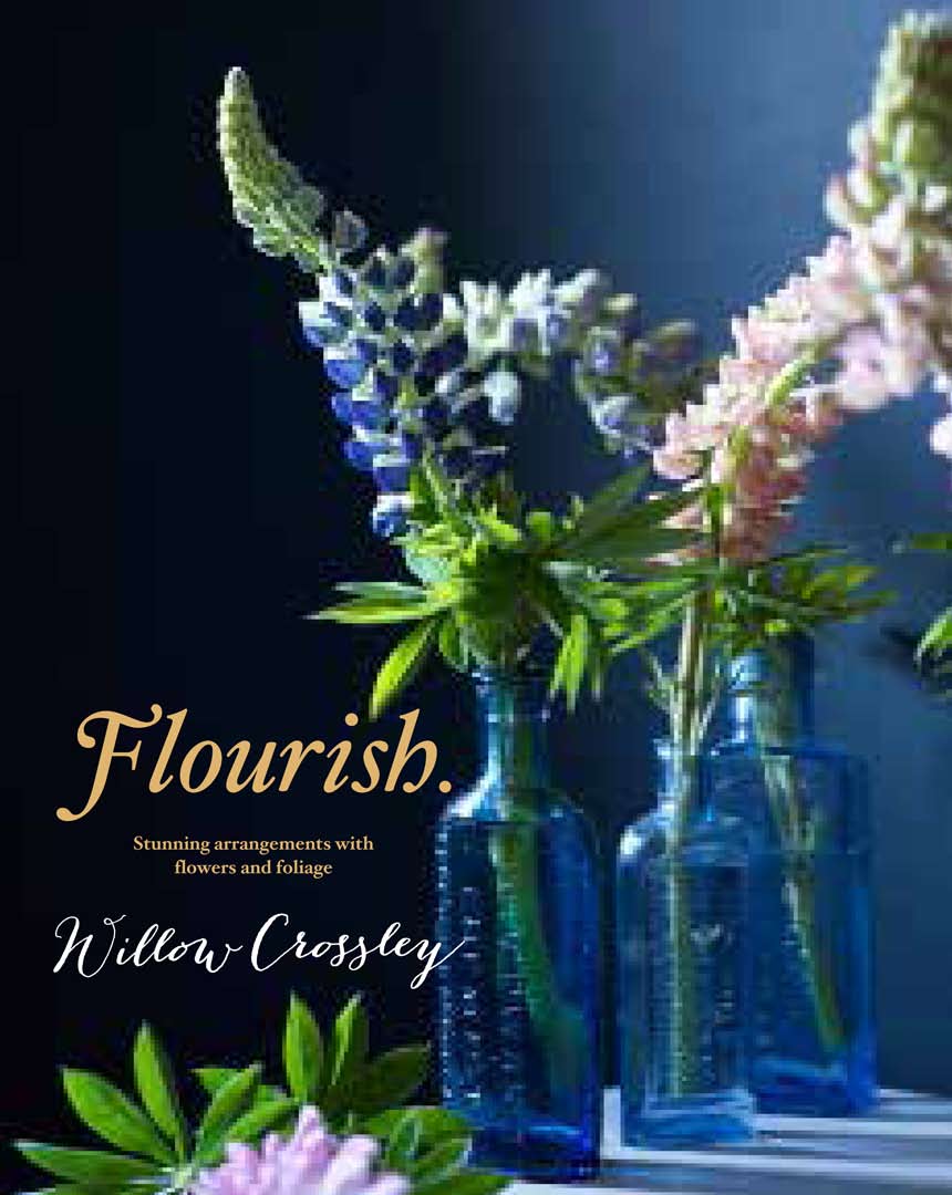 Flourish. front cover
