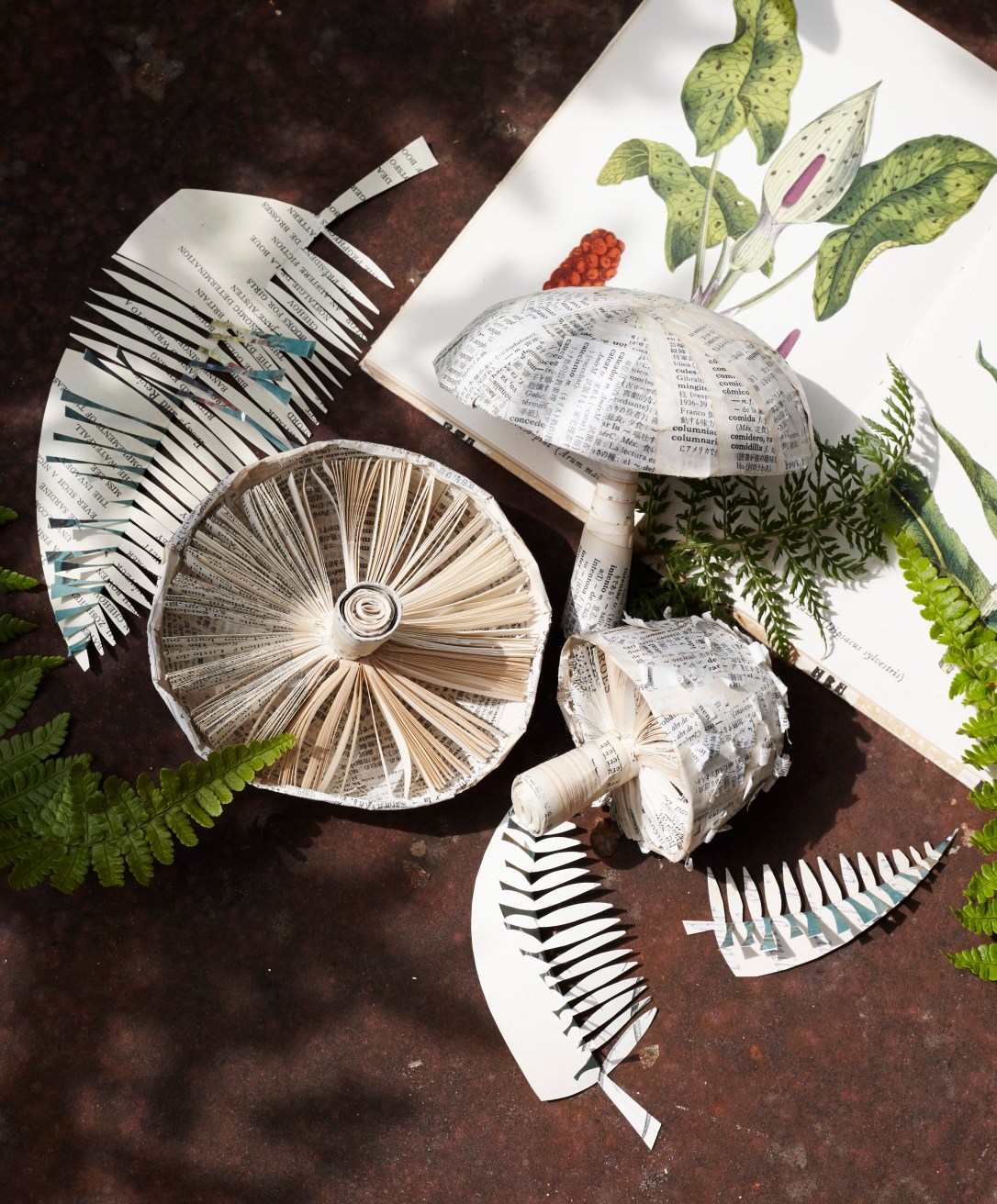 Mushrooms & Ferns.jpg