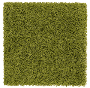 Hampen rug