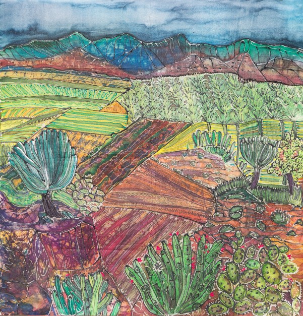 Oaxaca landscape close up copy