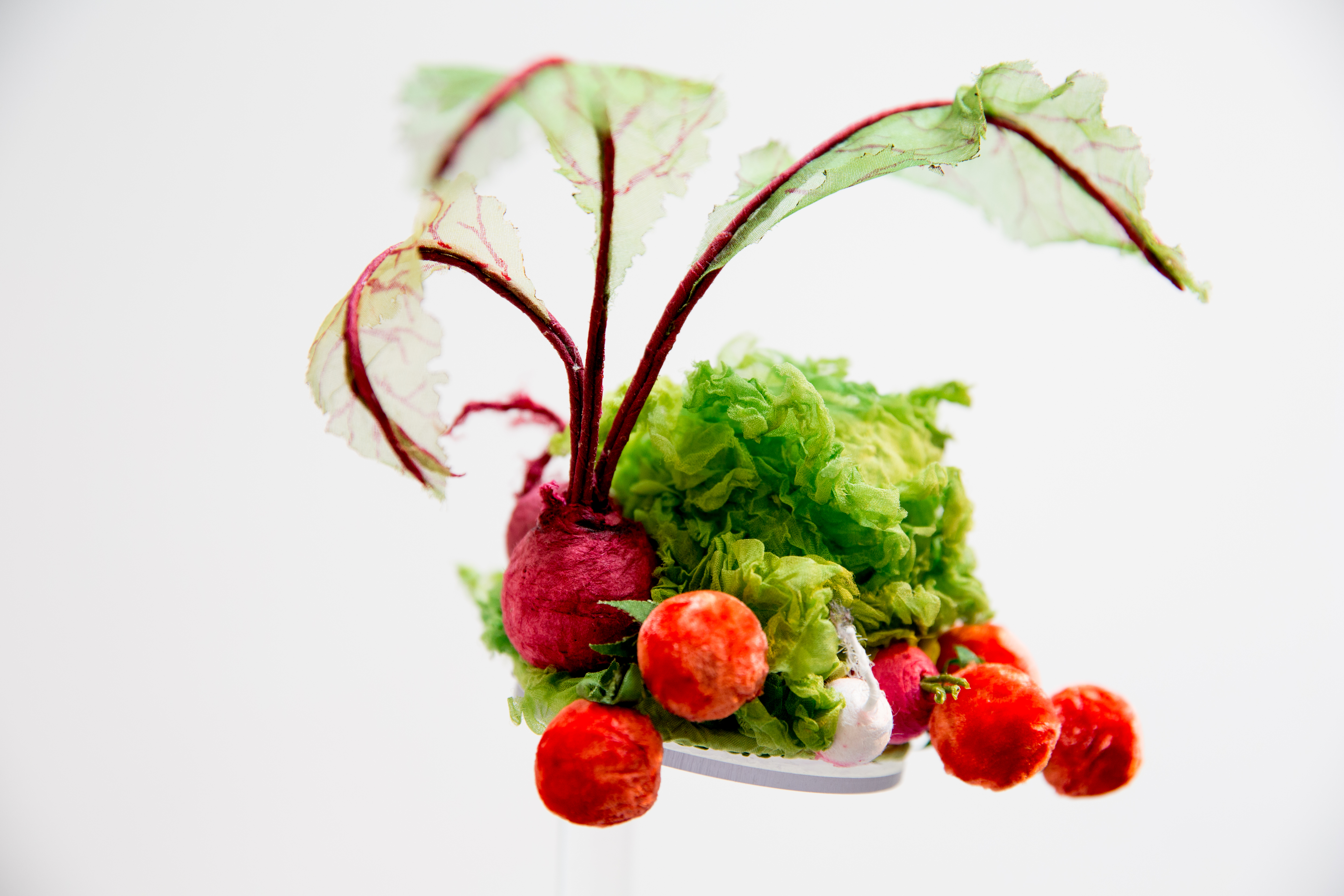 radish salad toms opener