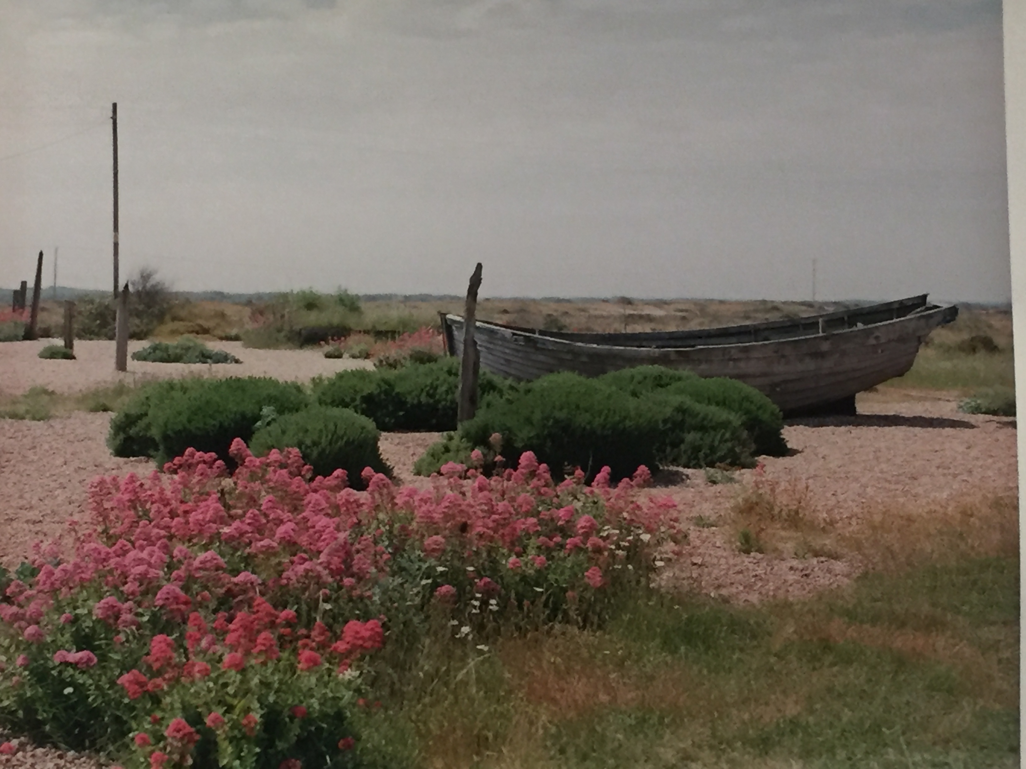 Derek Jarman